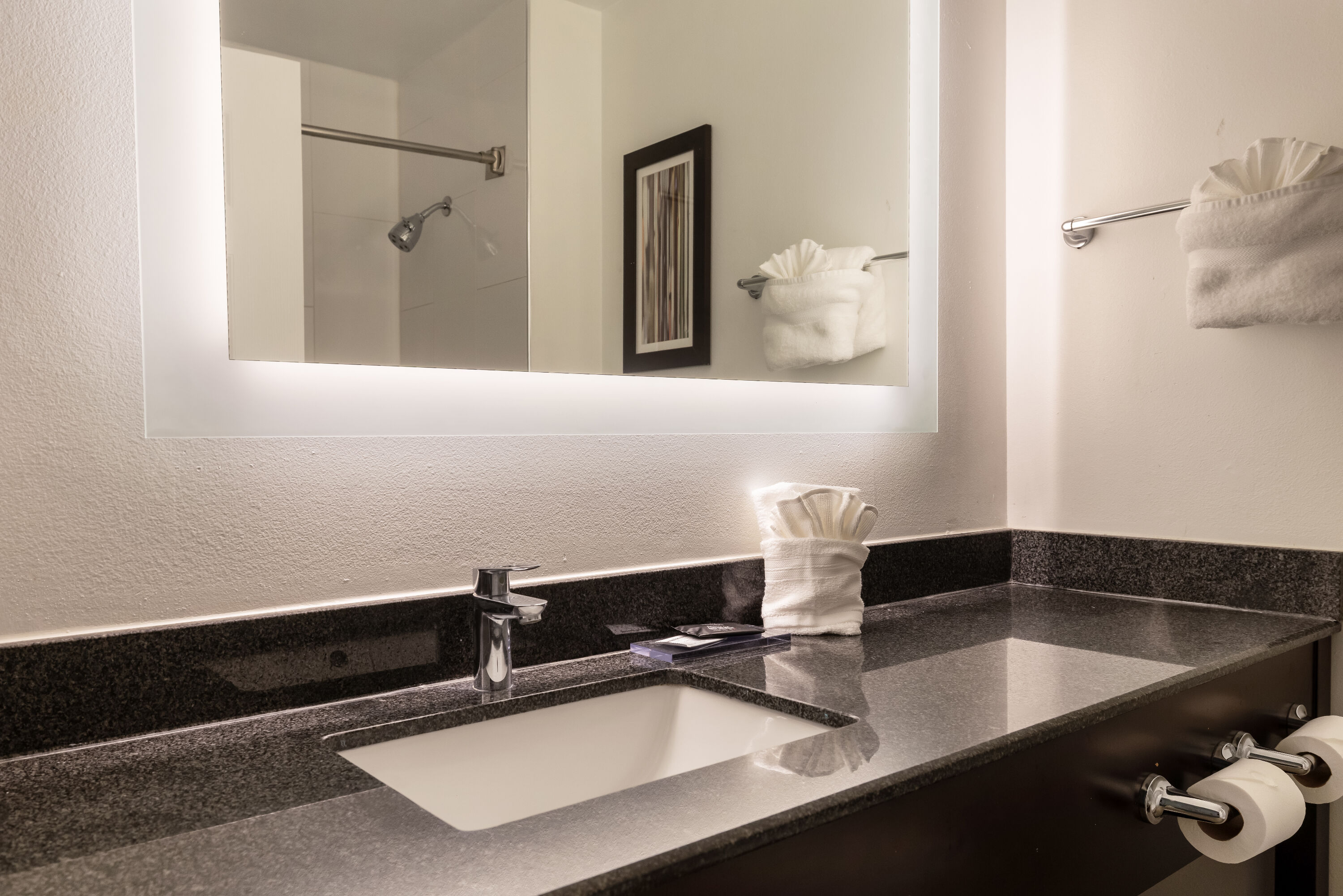 Guest room bath at the Wingate by Wyndham Round Rock Hotel & Conference Center in Round Rock, Texas