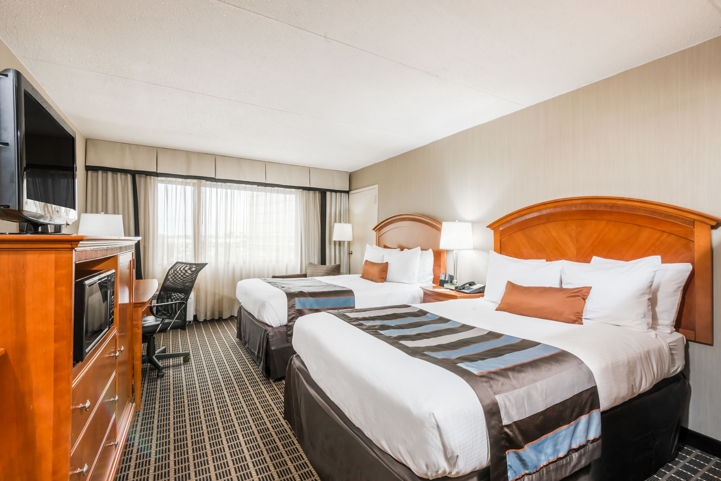 Wingate by Wyndham Springfield Springfield VA Hotels
