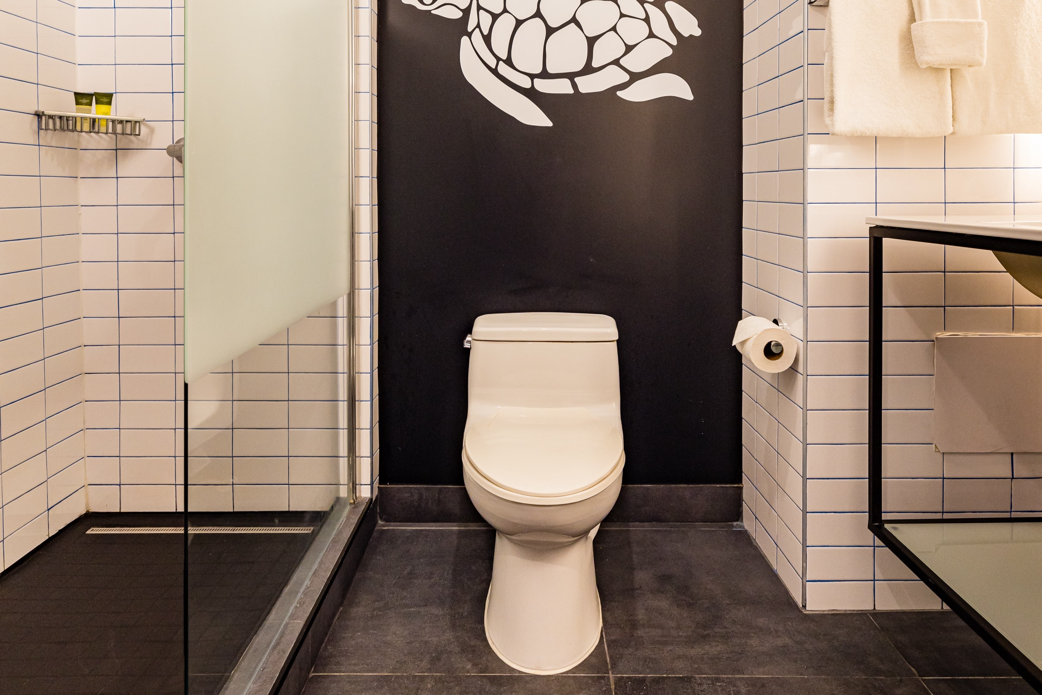 Guest room at the TRYP by Wyndham Aruba in Aruba, Other than US/Canada