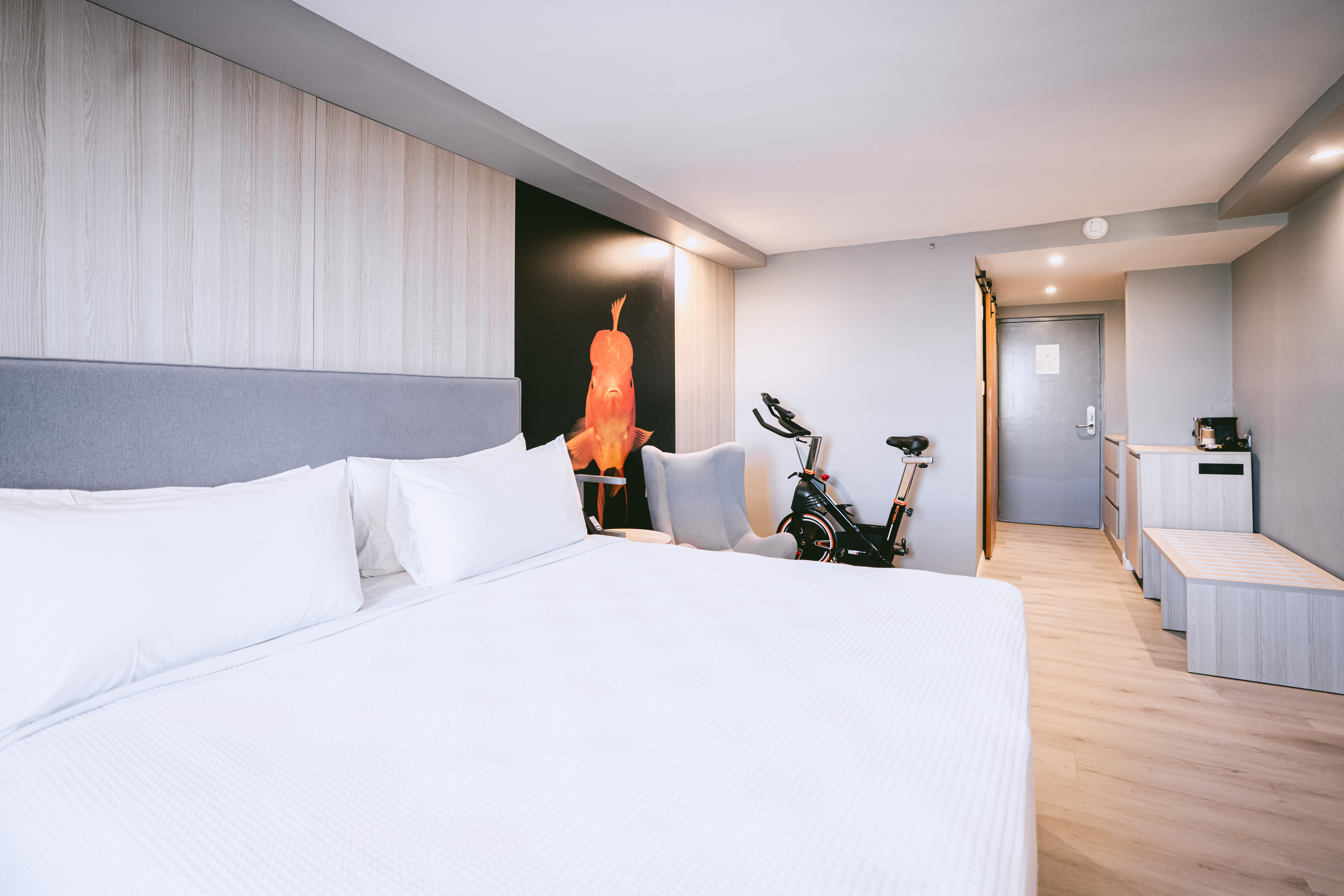 Guest room at the TRYP by Wyndham Aruba in Aruba, Other than US/Canada