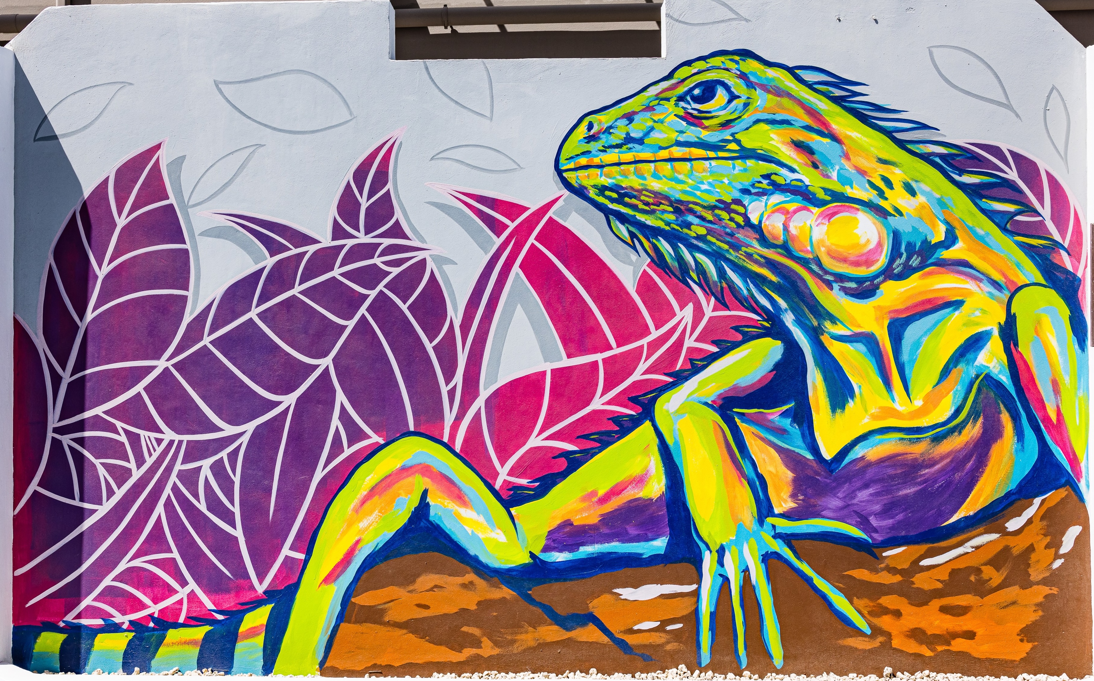 Property amenity at TRYP by Wyndham Aruba in Aruba, Other than US/Canada