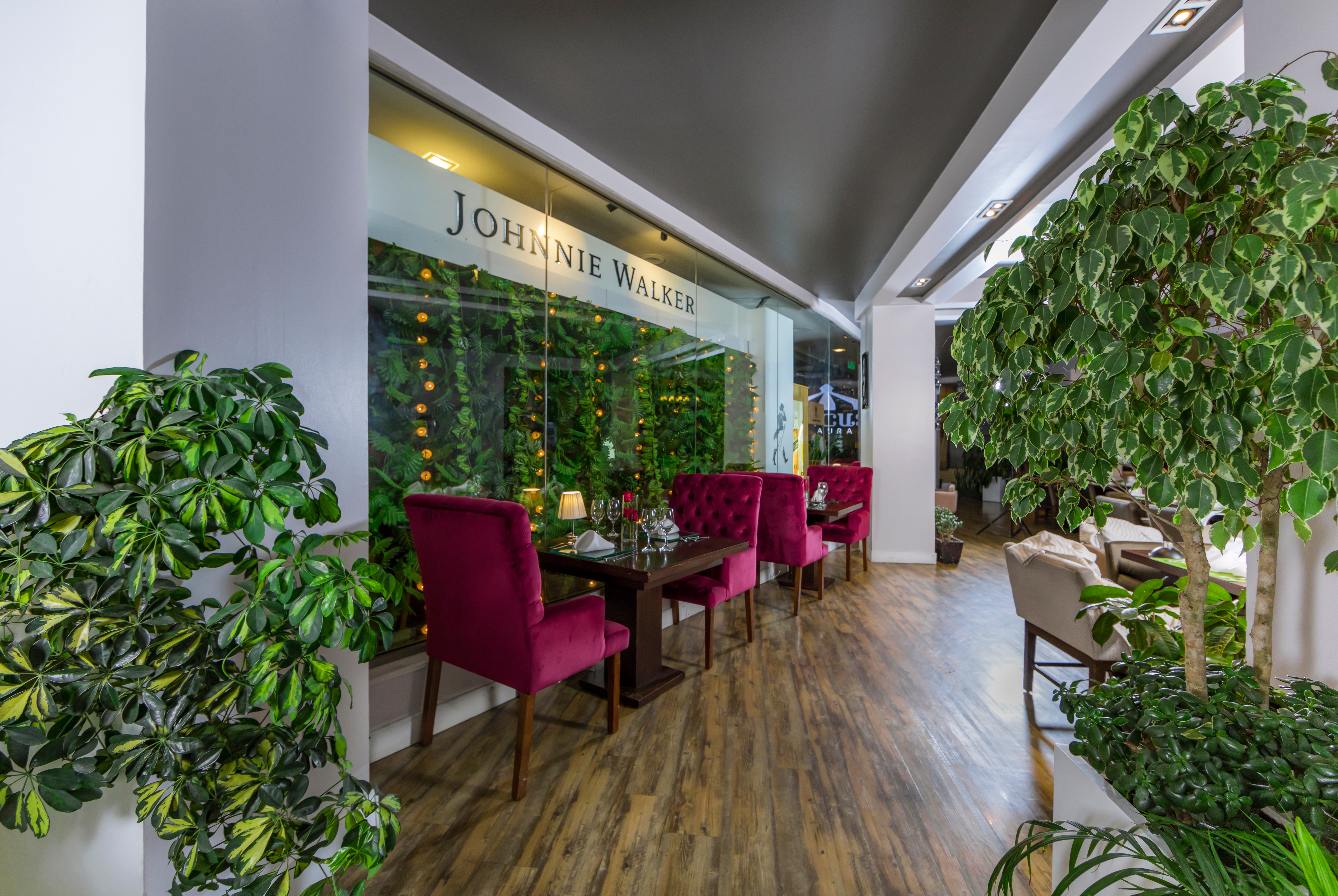 mineral láser Enviar TRYP by Wyndham Cuenca Zahir | Hoteles en Cuenca, EC