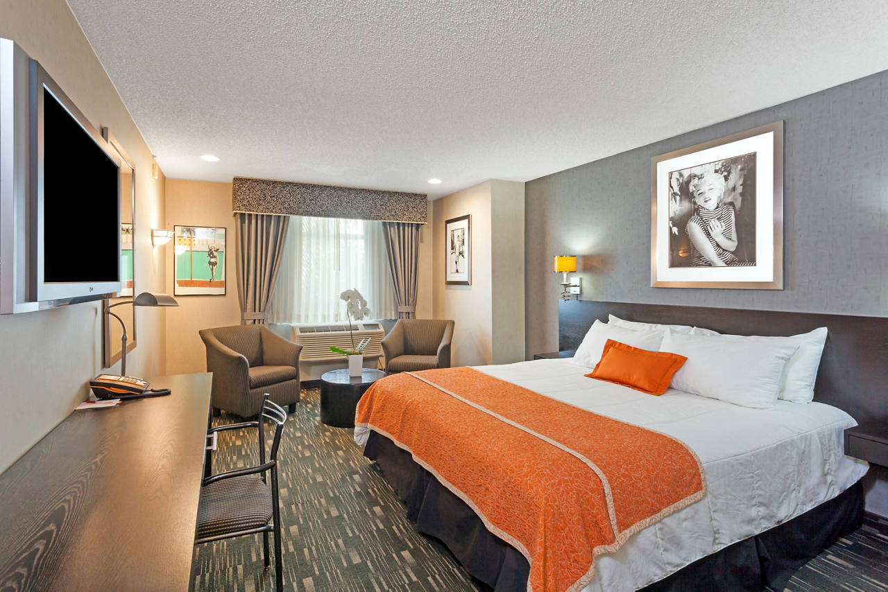 1 King Bed Room