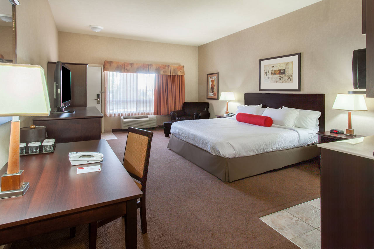 1 King Bed Accessible Room