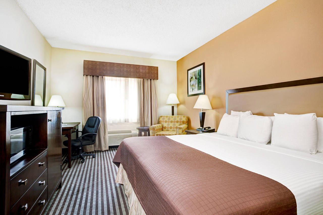 1 Queen Bed Room