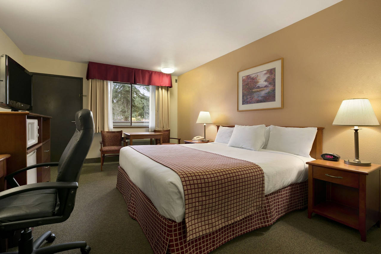 Standard One King Bed Room