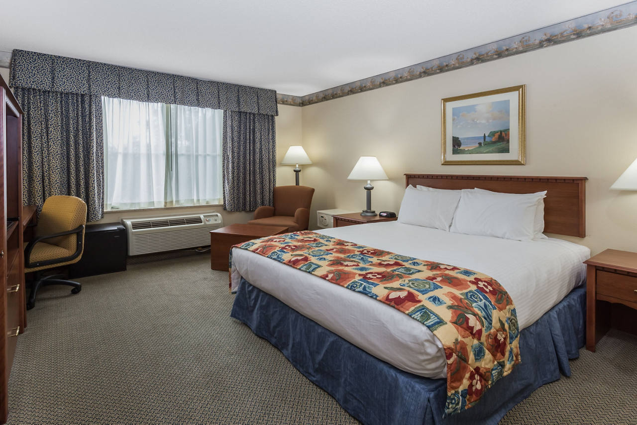 1 Queen Bed Room