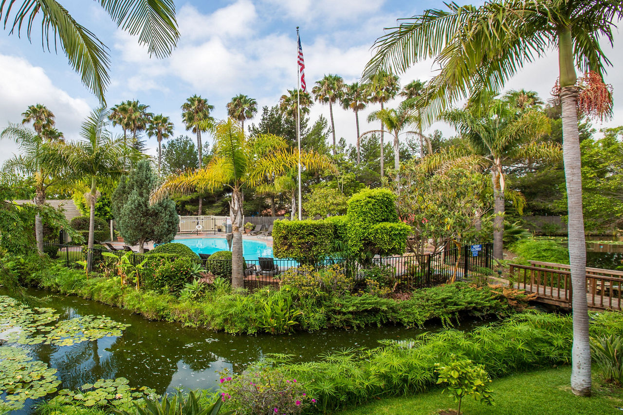 Lagoon