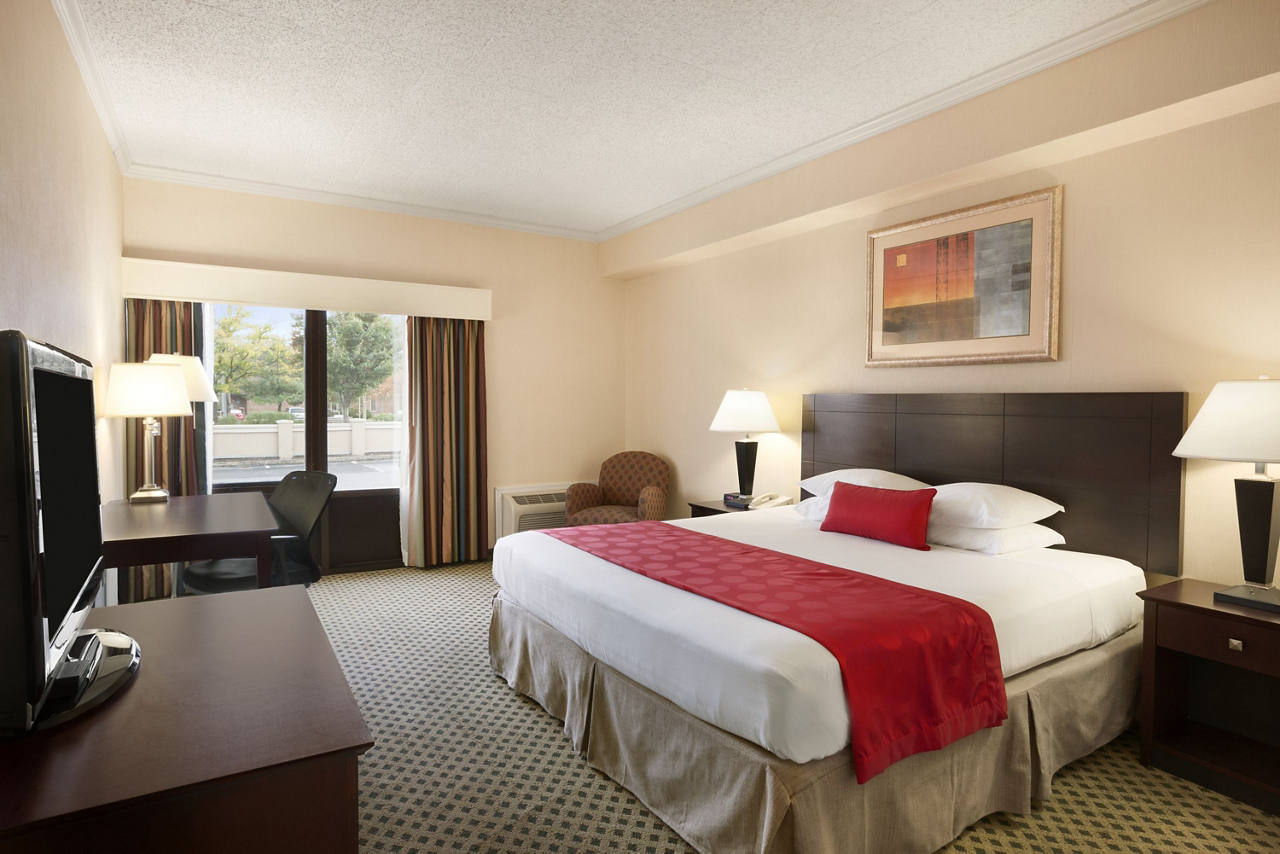 Standard King Room
