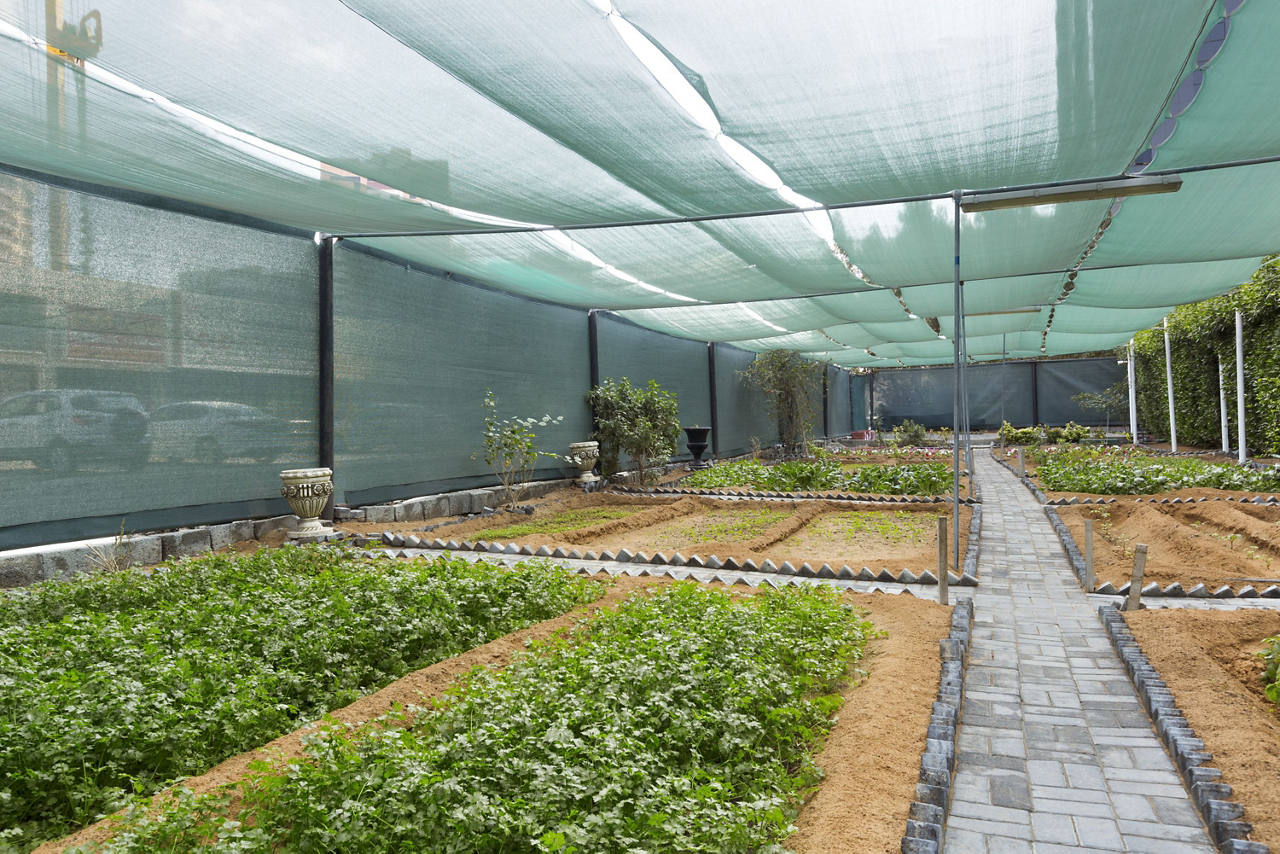 Urban Farm