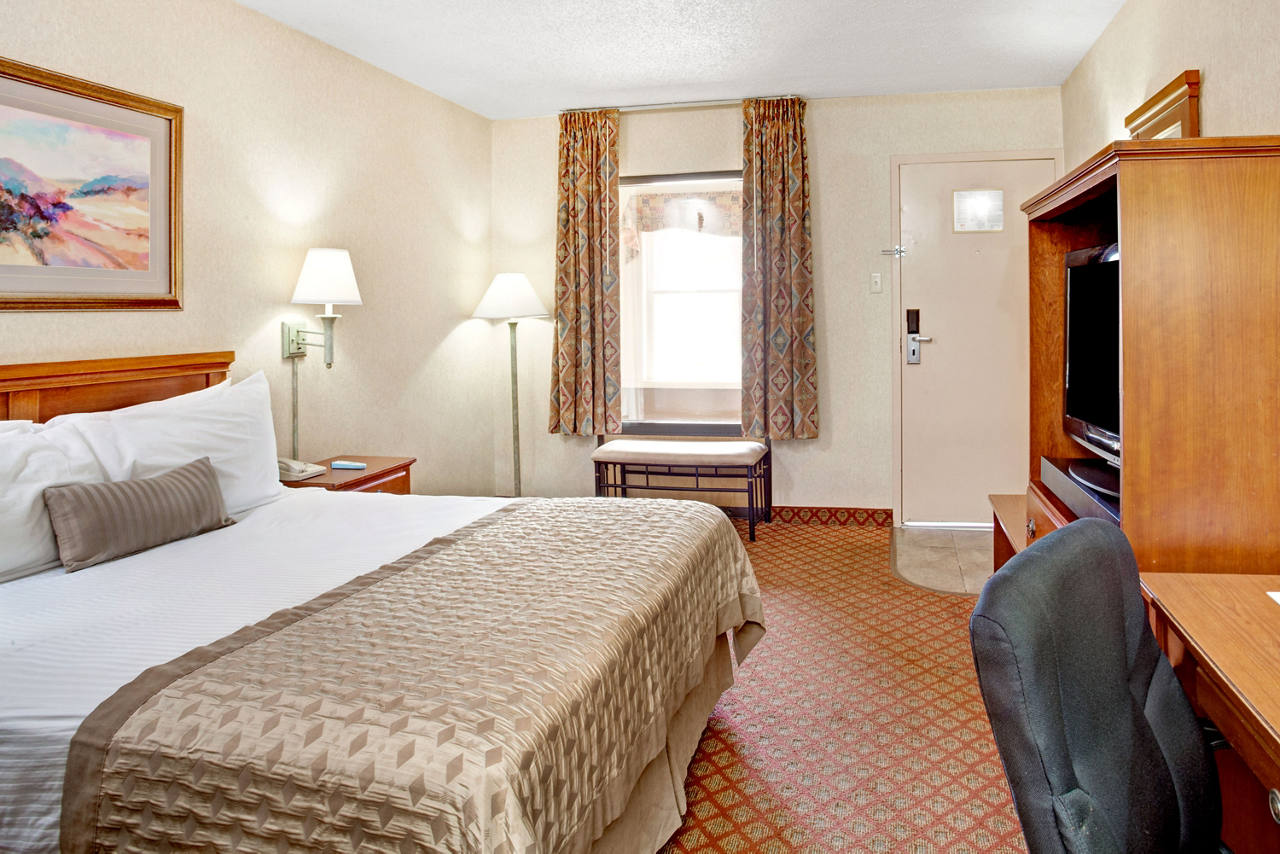 1 Queen Bed Room