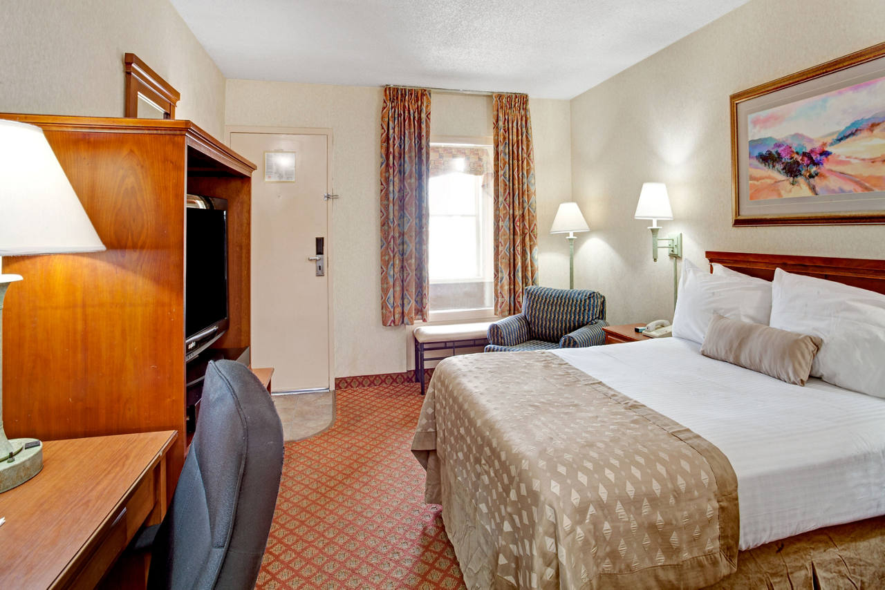 1 Double Bed Room