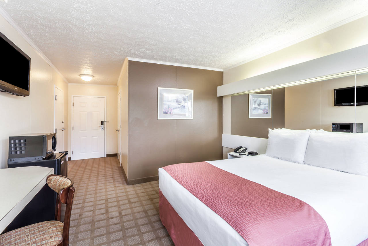 1 Queen Bed Room