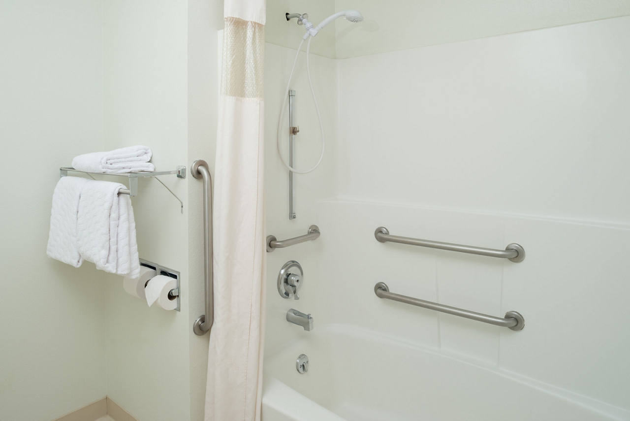 ADA Bath 2