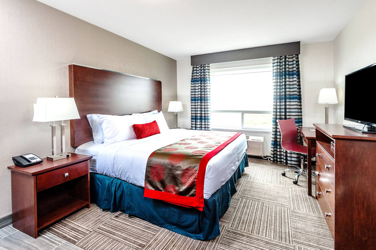 1 King Bed Room