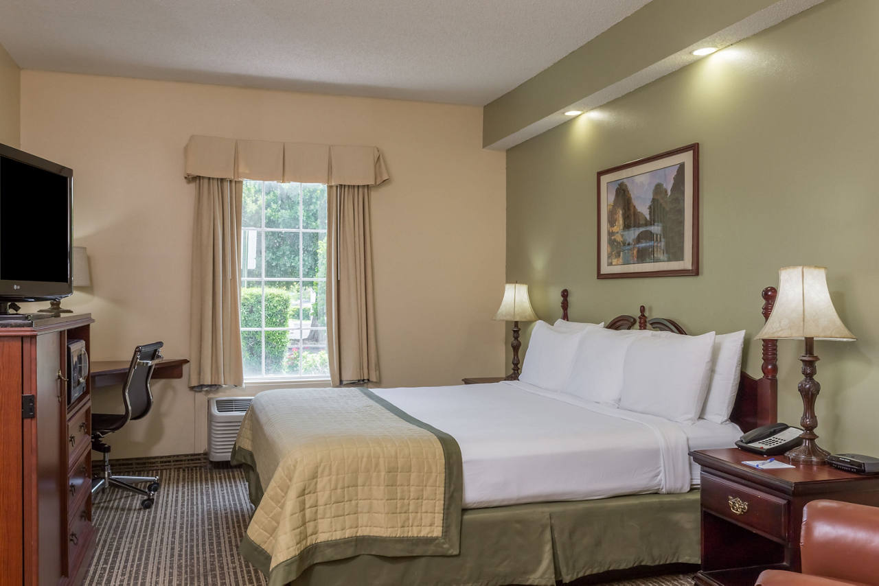 1 King Bed Room