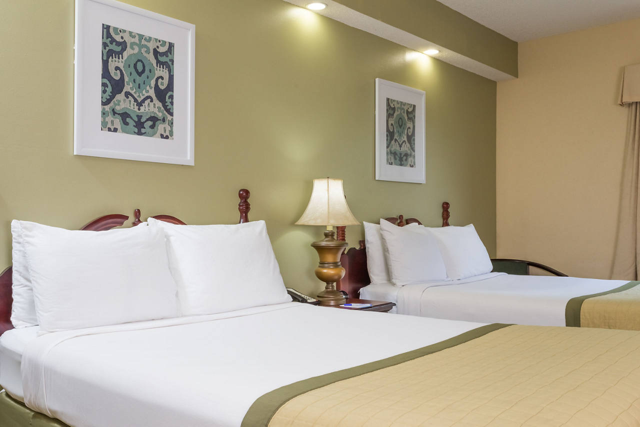 2 Double Bed Room