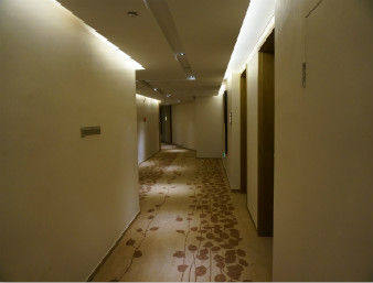 Guest Floor Passageway