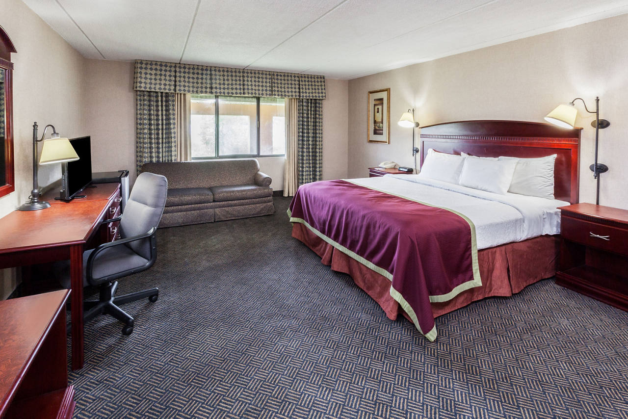 1 Queen Bed Room