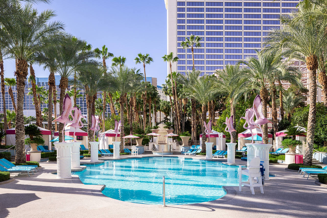 Family Pool at Flamingo Las Vegas.  Images shot April 2024.